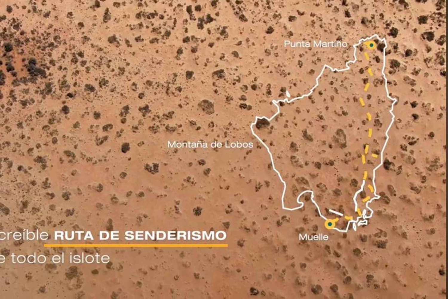 Isla de Lobos: Færge + miniubådskrydstogt + fritid