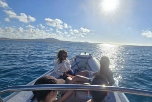 Lobos Island: Guided Turtle Searching Tour and Snorkeling