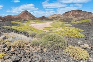 Tour dell'Isola di Lobos, della Spiaggia del Popcorn e delle Dune