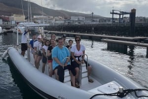 Morro Jable: Delfin- og hvalsafari og snorkling