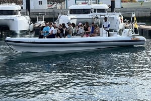 Morro Jable: Delfin- og hvalsafari og snorkling