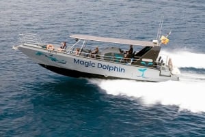 Morro Jable: Dolphin & Whale Watching Cruise, Drinks & Swim