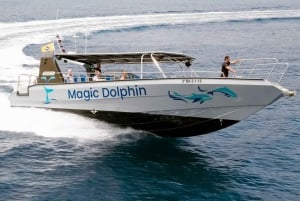 Morro Jable: Dolphin & Whale Watching Cruise, Drinks & Swim