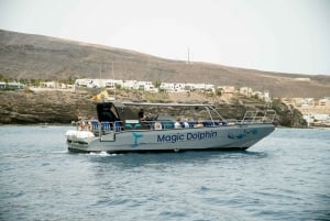 Morro Jable: Dolphin & Whale Watching Cruise, Drinks & Swim