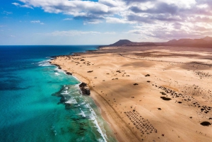 Morro Jable o Costa Calma: Excursión Contrastes de Fuerteventura