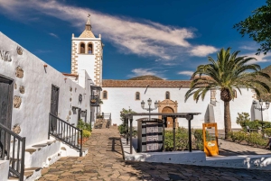Morro Jable o Costa Calma: Excursión Contrastes de Fuerteventura