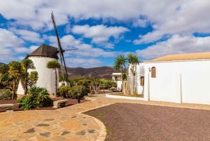 Morro Jable o Costa Calma: Excursión Contrastes de Fuerteventura
