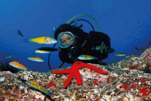 Bautismo de buceo en Caleta de Fuste