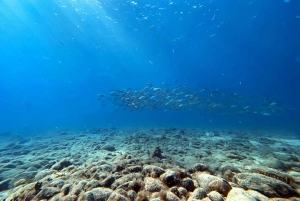 Bautismo de buceo en Caleta de Fuste