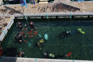 Bautismo de buceo en Caleta de Fuste