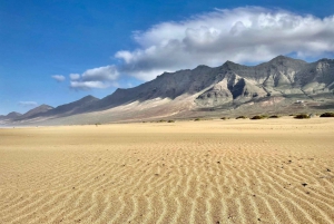 Las Palmas: Fuerteventura Cofete Beach and Desert Safari