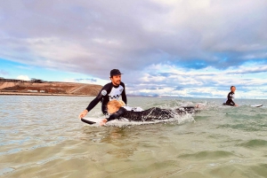 Premium Surf Lesson in the South of Fuerteventura