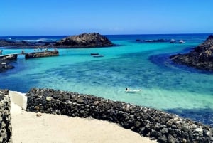 tour dell'iisola di lobos dal sud di fuerteventura