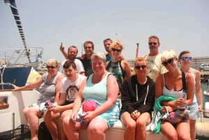 Observation des cétacés