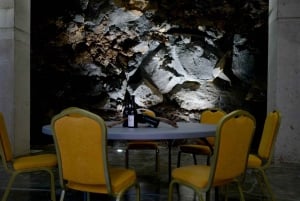 VISITA GUIADA EN BODEGA CONATVS CON CATA DE VINOS EN ESPAÑOL