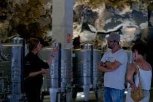 VISITA GUIADA EN BODEGA CONATVS CON CATA DE VINOS EN ESPAÑOL