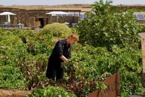 VISITA GUIADA EN BODEGA CONATVS CON CATA DE VINOS EN ESPAÑOL