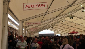 5. Go to the Shellfish Festival in O Grove