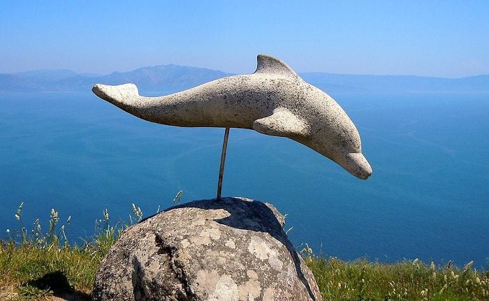 Dolphin watch in Finisterre (Randall St. Germain, Author of Camino de Santaigo in 20 Days)