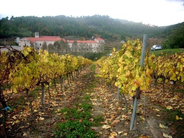 San Clodio Monastery & Vineyards