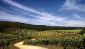 Typical Galician Ria