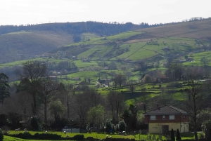 5-dniowa prywatna wycieczka po północnej Hiszpanii (z Bilbao lub Santiago)