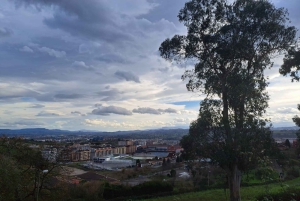 5-dniowa prywatna wycieczka po północnej Hiszpanii (z Bilbao lub Santiago)