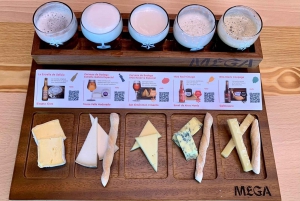 A Coruña: MEGA Beer Museum Tour with Beer and Cheese Tasting