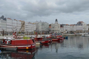 A Coruña: Private Guided Tour