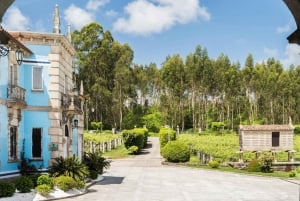 تذوق النبيذ في ألبارينيو مع جولة في مصنع النبيذ