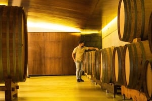 تذوق النبيذ في ألبارينيو مع جولة في مصنع النبيذ