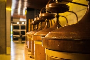 تذوق النبيذ في ألبارينيو مع جولة في مصنع النبيذ