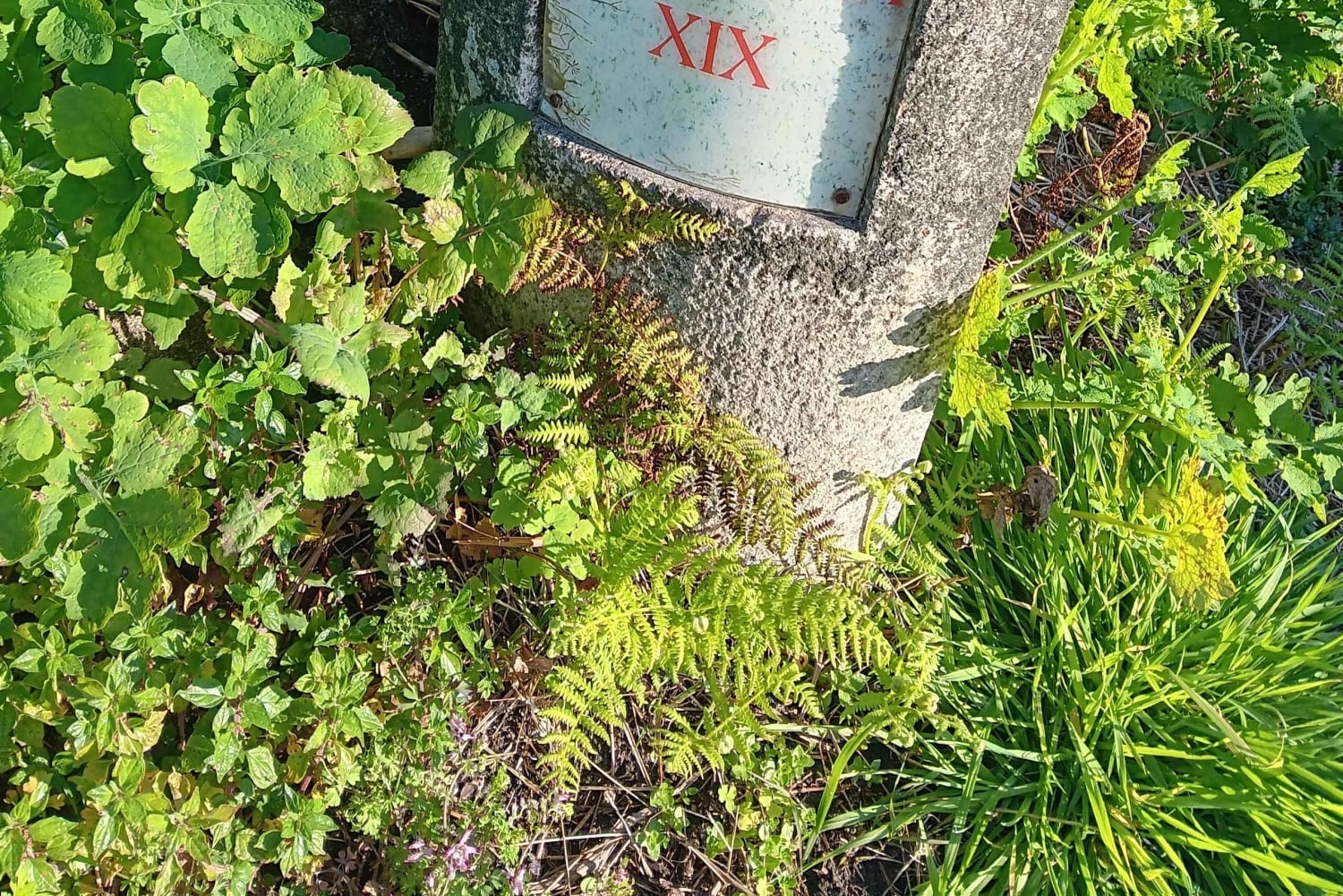 Bedste rute fra Tui til Santiago