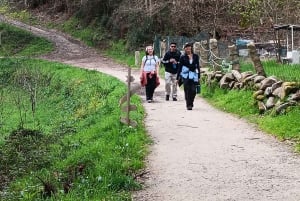 Bedste rute fra Tui til Santiago