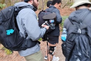 Bedste rute fra Tui til Santiago