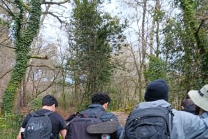 Bedste rute fra Tui til Santiago