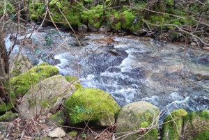 Bedste rute fra Tui til Santiago