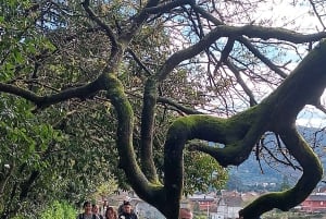 Bedste rute fra Tui til Santiago