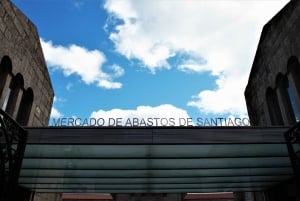 Tour complet de Santiago avec billets - Expérience complète en 4H