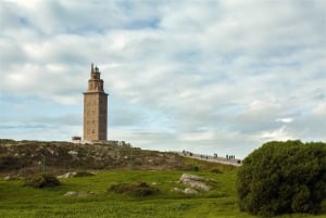 Corunha: Tour a pé de tapas galegas em La Pescadería