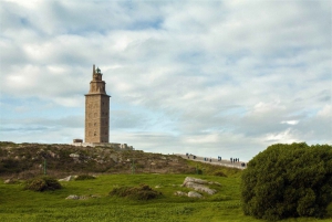 Coruña: Galician Tapas Walking Tour to La Pescadería