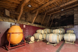 Ontdek de Ribeira Sacra met een unieke wijnbeleving!