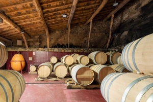 Ontdek de Ribeira Sacra met een unieke wijnbeleving!