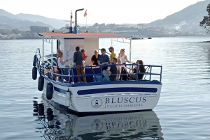 Discovering Vigo ria and mussels in the traditional boat