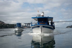 Upptäck Vigo ria och musslor i traditionell båt