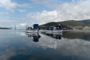 Upptäck Vigo ria och musslor i traditionell båt