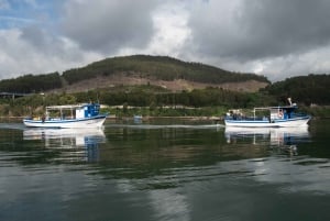 Odkrywanie Vigo ria i małży w tradycyjnej łodzi