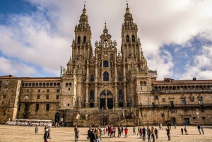 ✅Excursión Exclusiva desde Vigo a Santiago de Compostela para Cruceristas