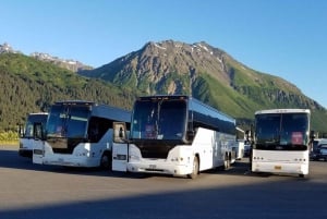 Excursie van Vigo naar Santiago de Compostela - Alleen voor cruisepassagiers