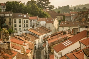 Ferrol: Santiago de Compostela Excursión en Tierra con Recogida